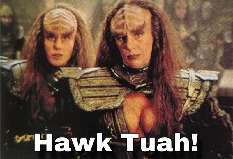 hawk-tuah