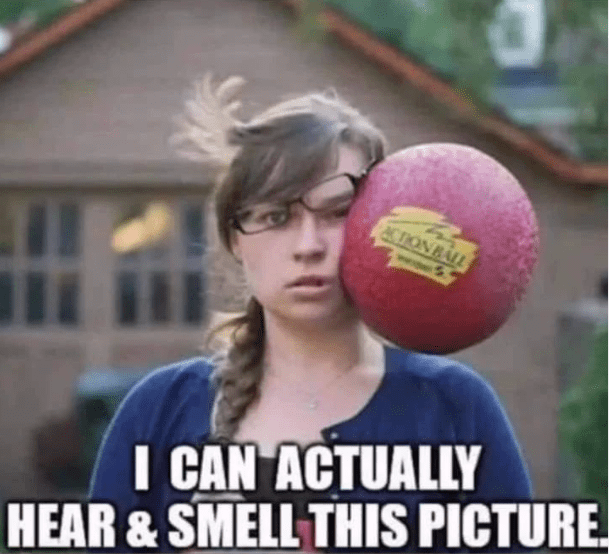 action-ball-can-actually-hear-smell-this-picture