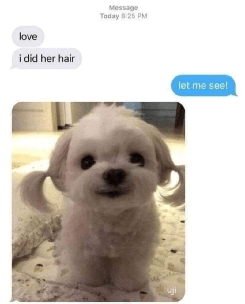 love-did-her-hair-message-today-825-pm-uji-let-see