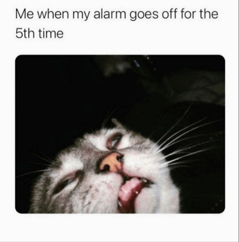 my-alarm-goes-off-5th-time