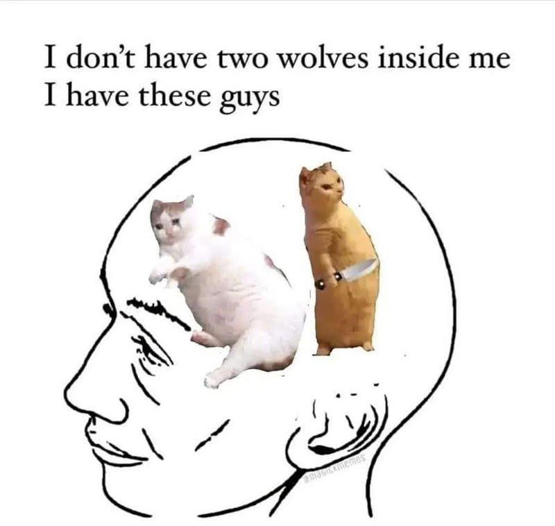 dont-have-two-wolves-inside-have-these-guys