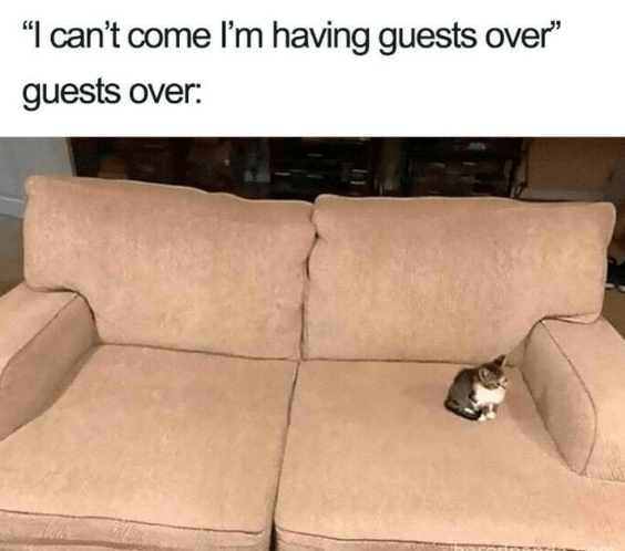 cant-come-having-guests-over-guests-over