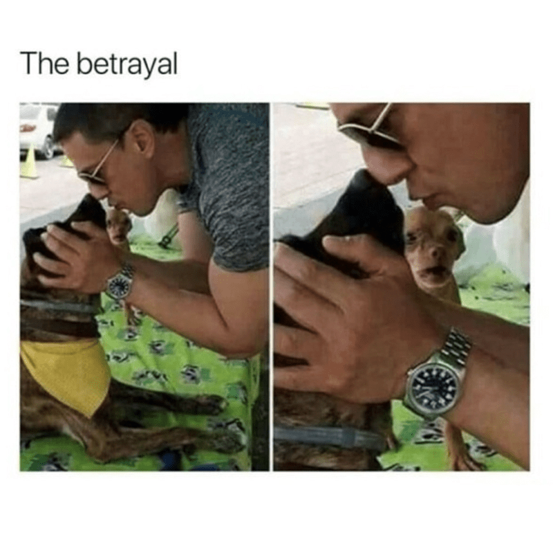 betrayal