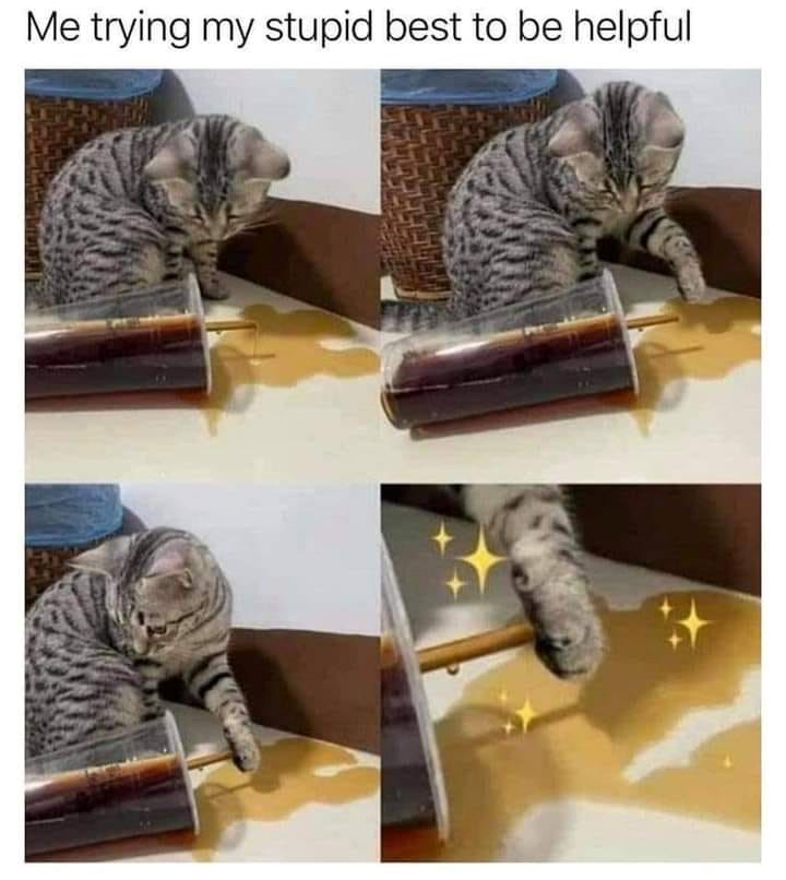 trying-my-stupid-best-be-helpful