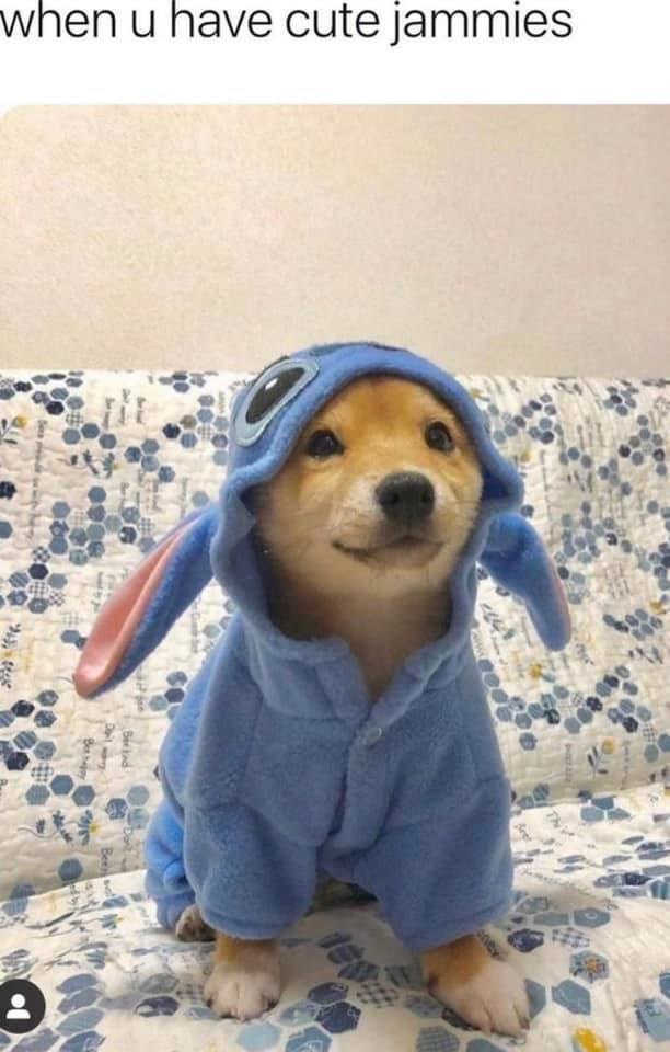 u-have-cute-jammies-berked