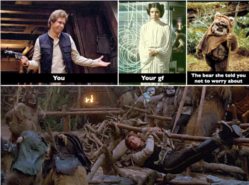 gf-bear-she-told-not-worry-about