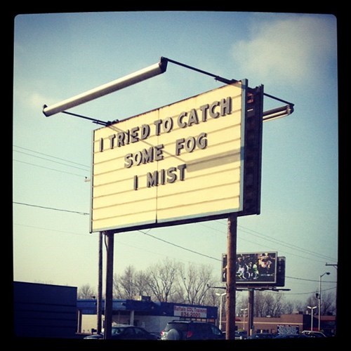 im-very-fogone-about-my-poor-aim