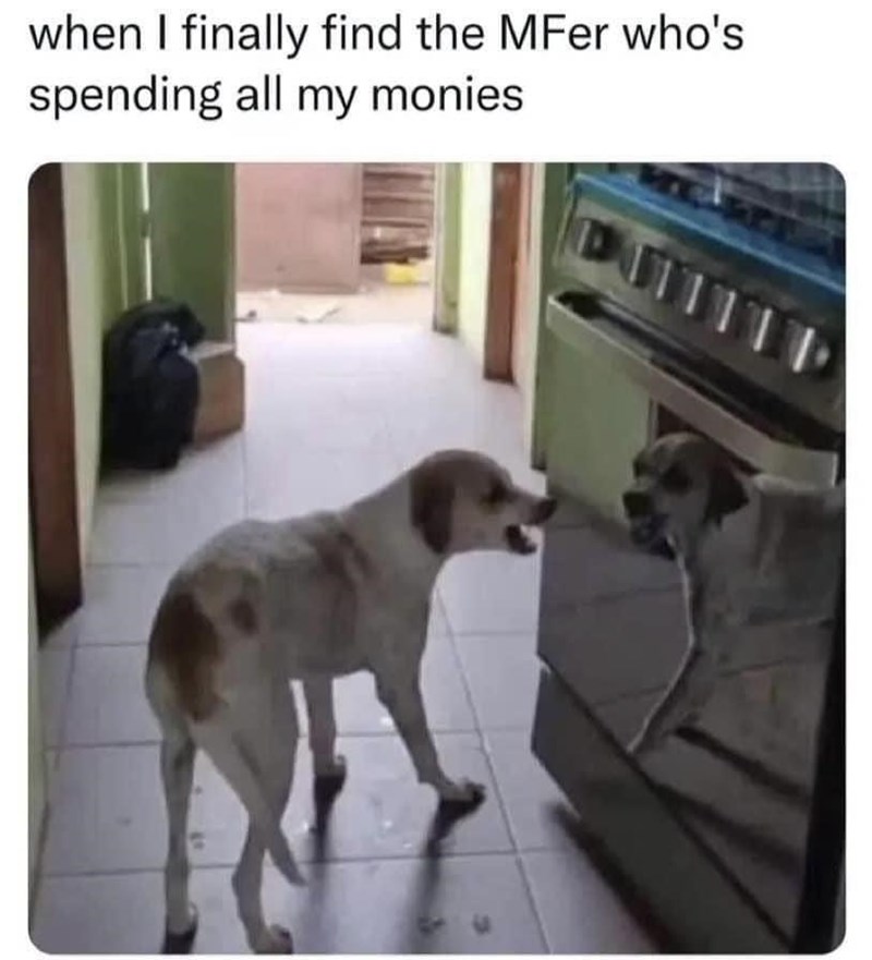 finally-find-mfer-whos-spending-all-my-monies