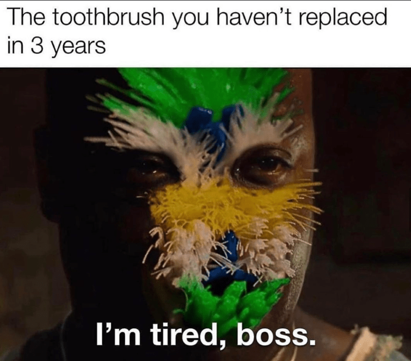 toothbrush-havent-replaced-3-years-tired-boss