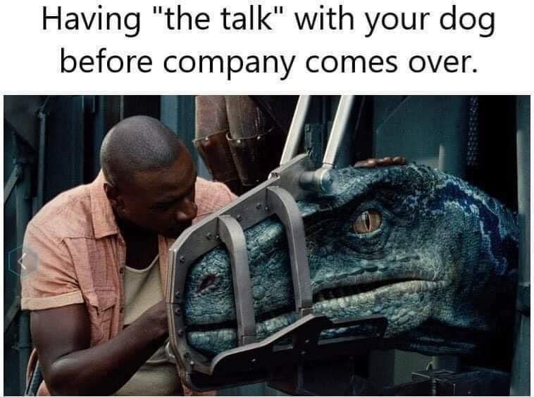 having-talk-with-dog-before-company-comes-over