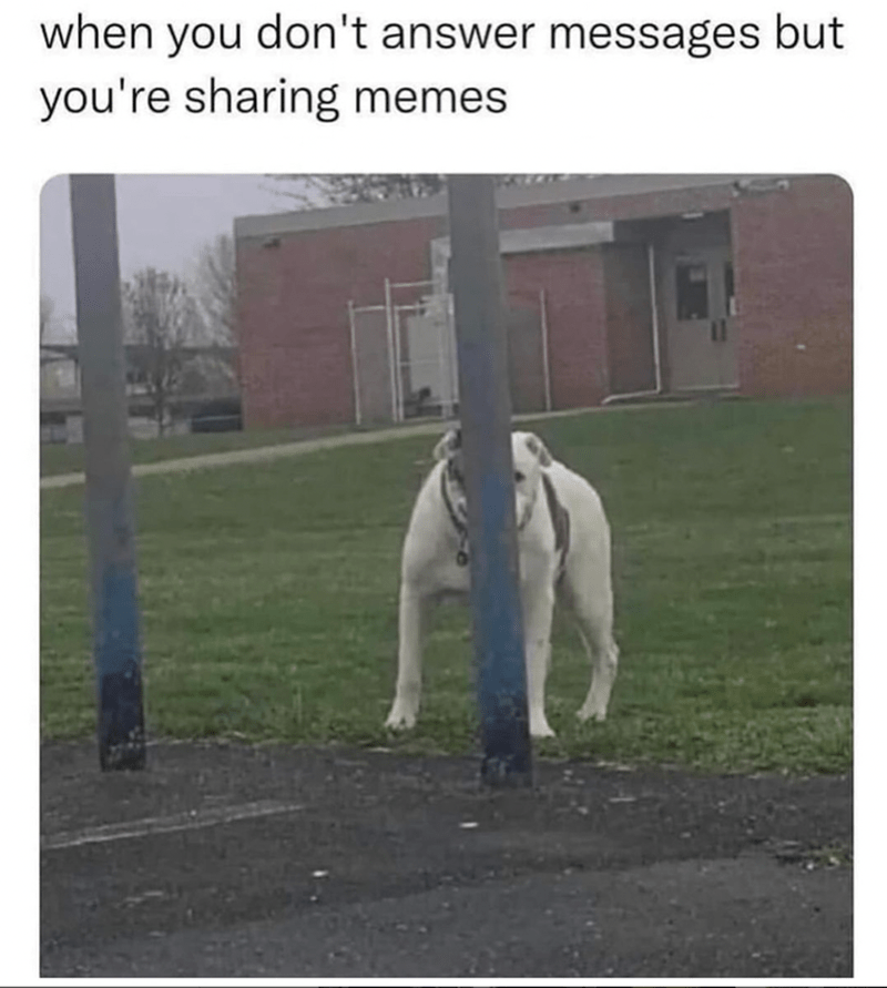 dont-answer-messages-but-sharing-memes