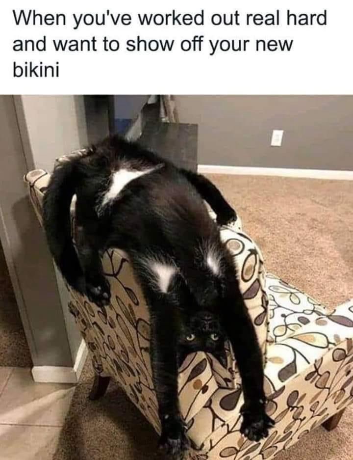 worked-out-real-hard-and-want-show-off-new-bikini