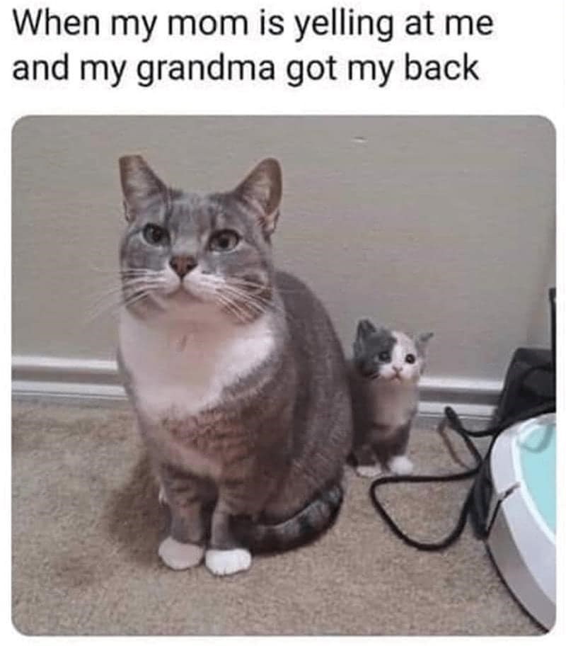 my-mom-is-yelling-at-and-my-grandma-got-my-back