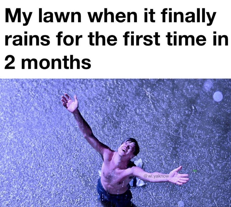 my-lawn-finally-rains-first-time-2-months-wiyaknow