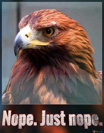 thumb-nope-just-nope-golden-eagle-card-13271.jpg