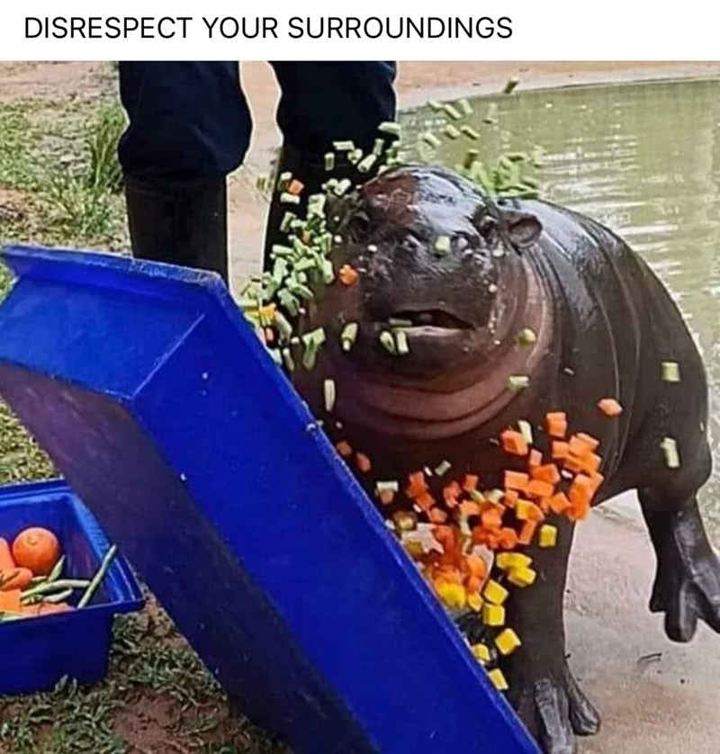 disrespect-surroundings