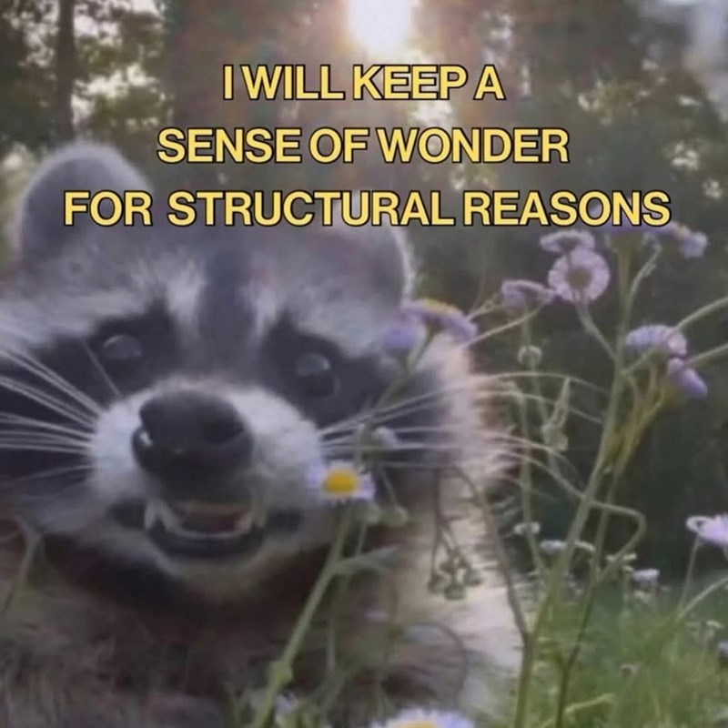 will-keep-sense-wonder-structural-reasons