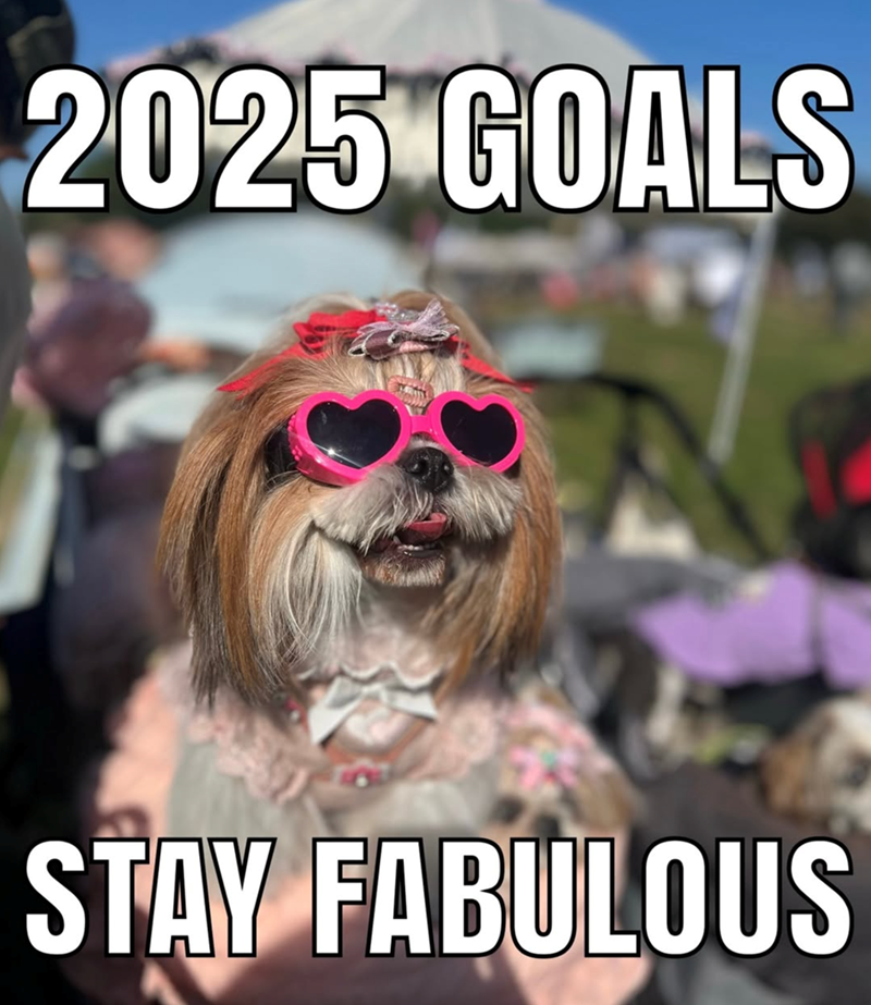 2025-goals-stay-fabulous