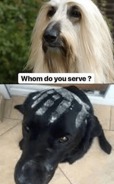 whom-do-serve