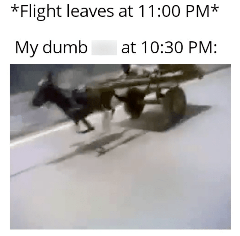 flight-leaves-at-1100-pm-my-dumb-at-1030-pm