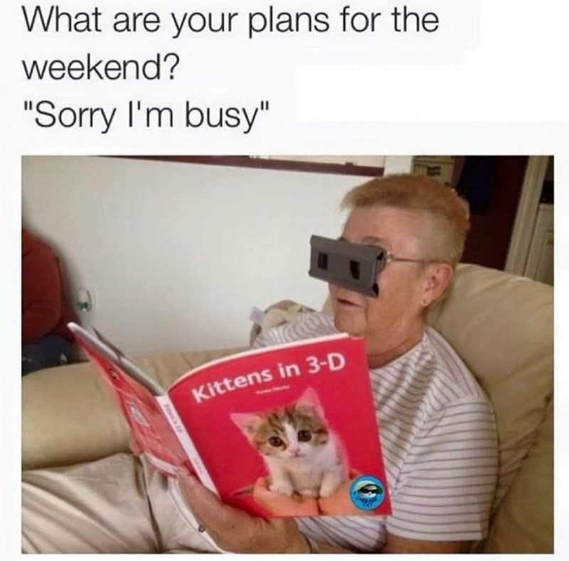 are-plans-weekend-sorry-busy-kittens-3-d