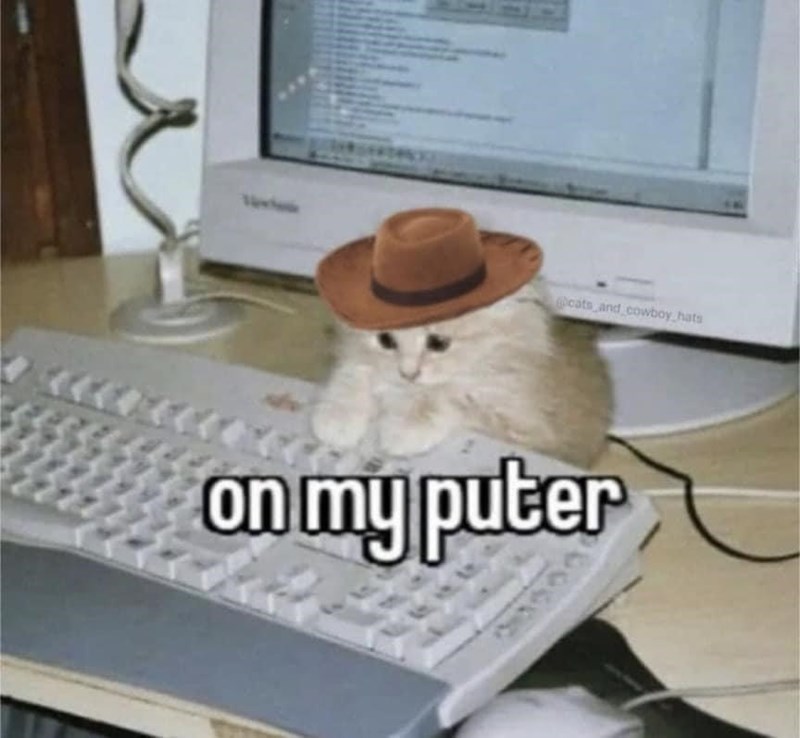 cats-and-cowboy-hats-on-my-puter