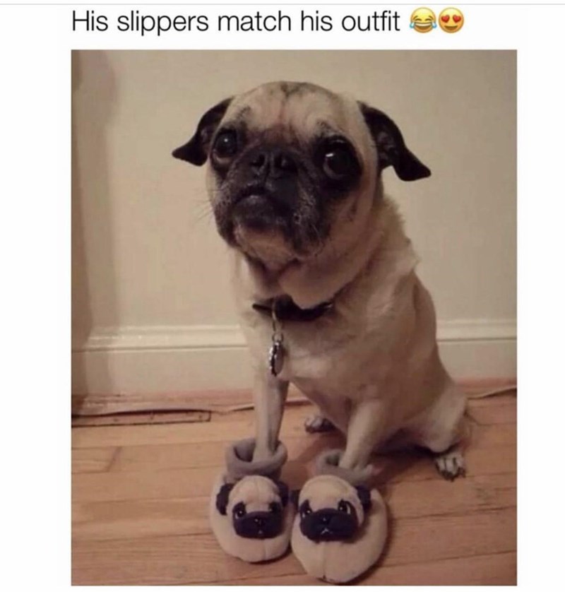 his-slippers-match-his-outfit