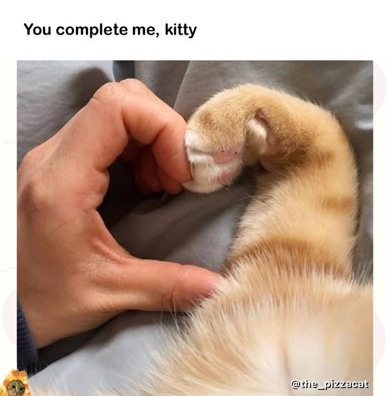 complete-kitty-the_pizzacat