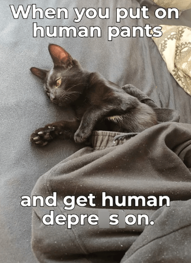 put-on-human-pants-and-get-human-depre-son