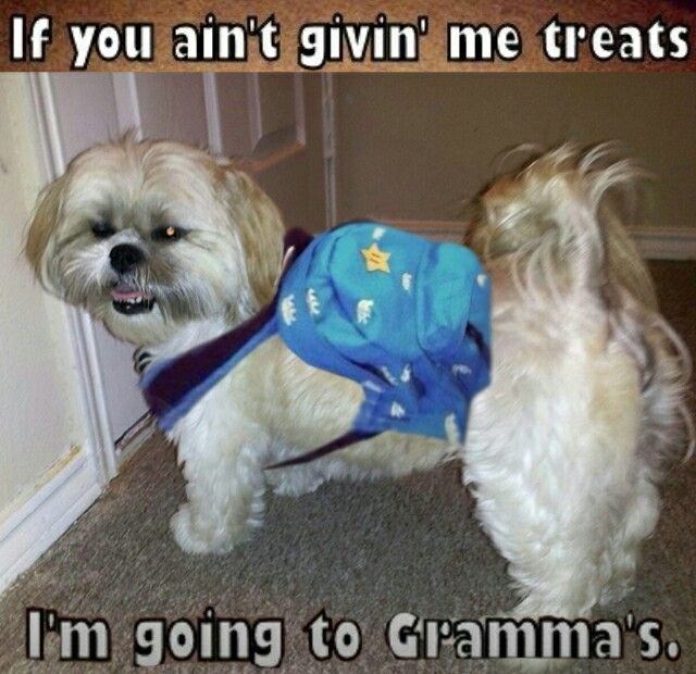 if-aint-givin-treats-going-grammas