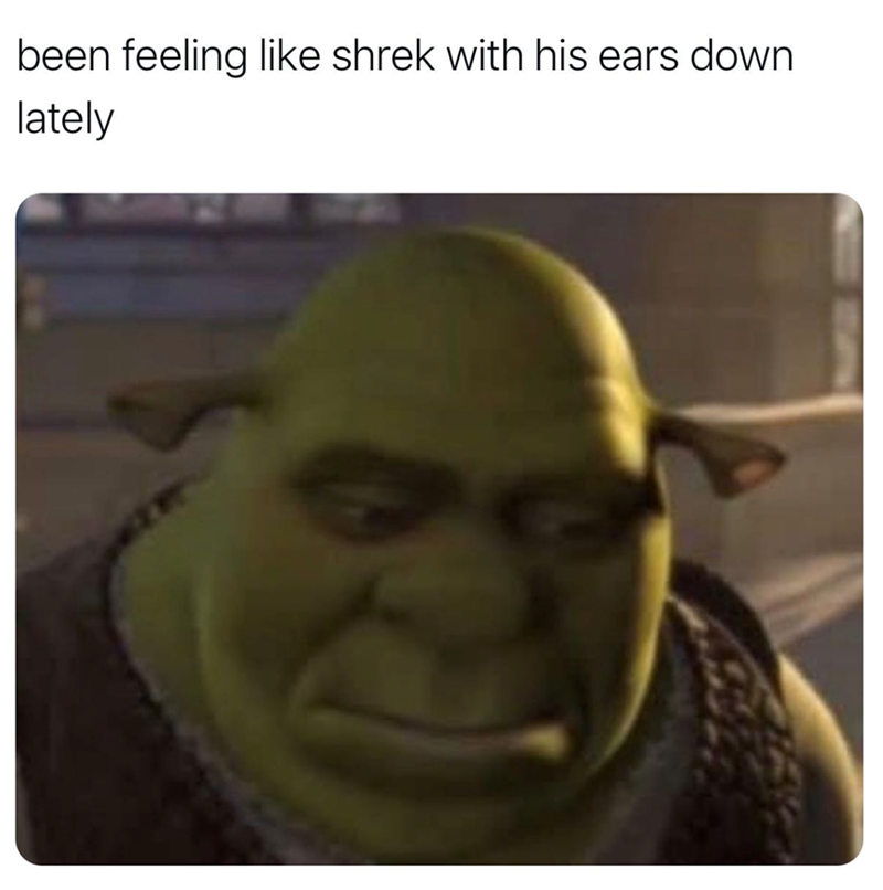 been-feeling-like-shrek-with-his-ears-down-lately
