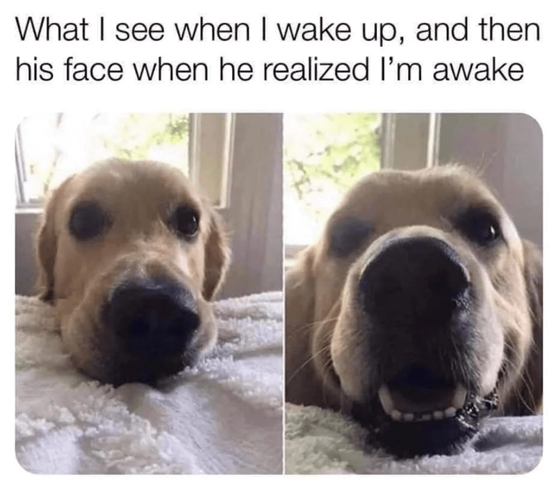 see-wake-up-and-then-his-face-he-realized-awake