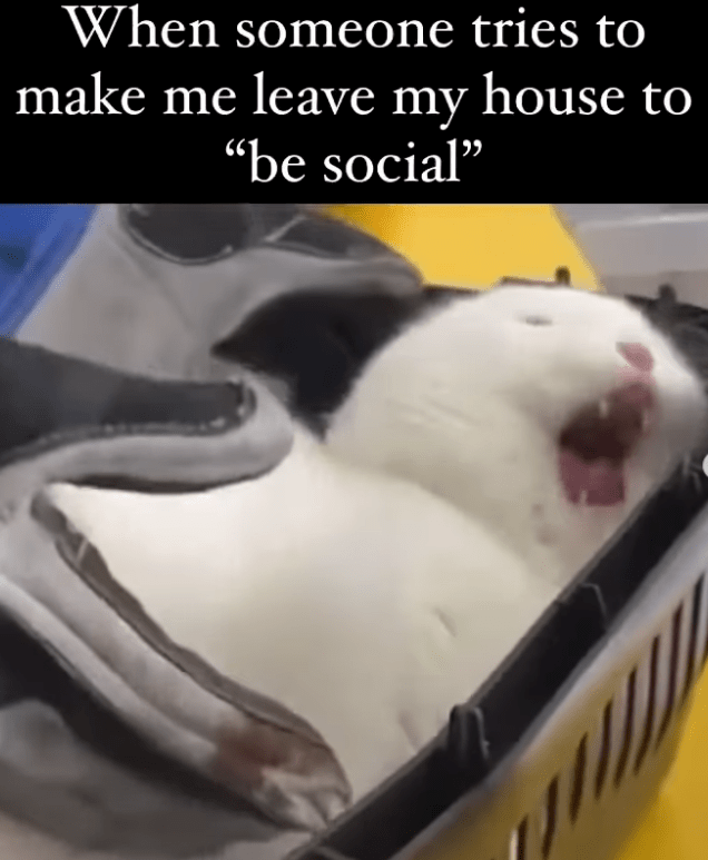 someone-tries-make-leave-my-house-be-social