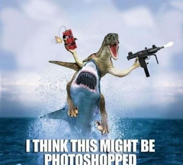 122988-Shark-and-Raptor-Photoshop.jpeg