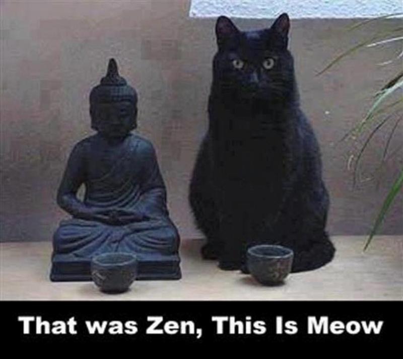 zen-this-is-meow