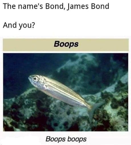 names-bond-james-bond-and-boops-boops-boops