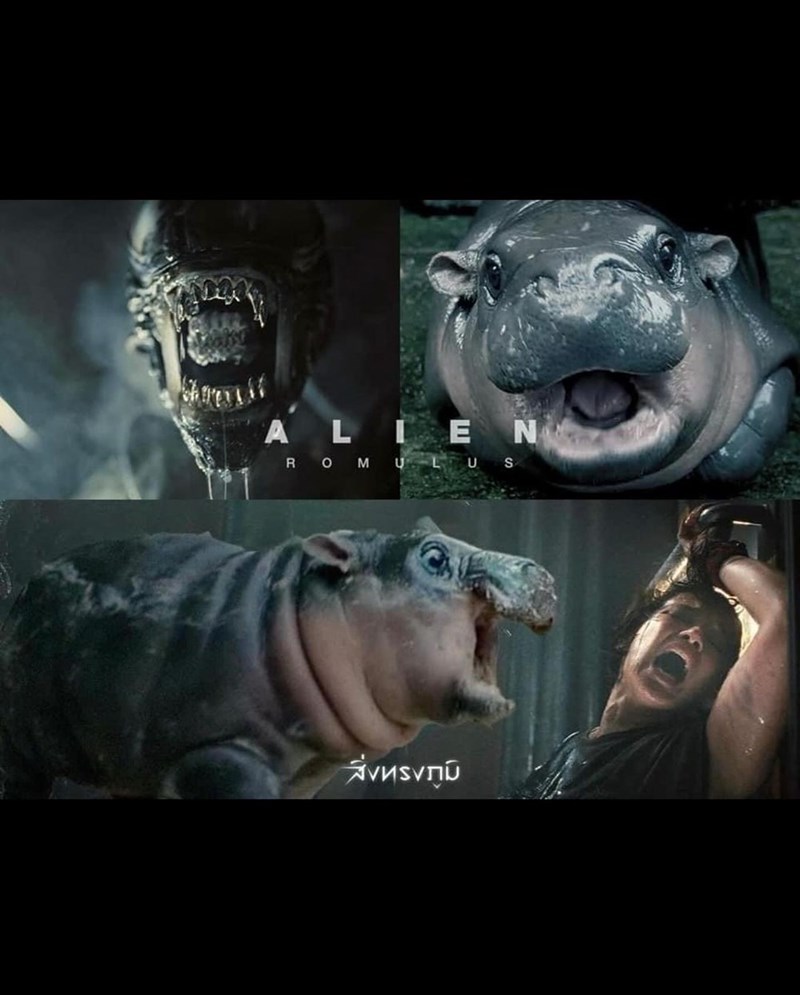 alien-romulus