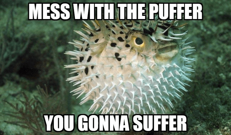 mess-with-puffer-gonna-suffer