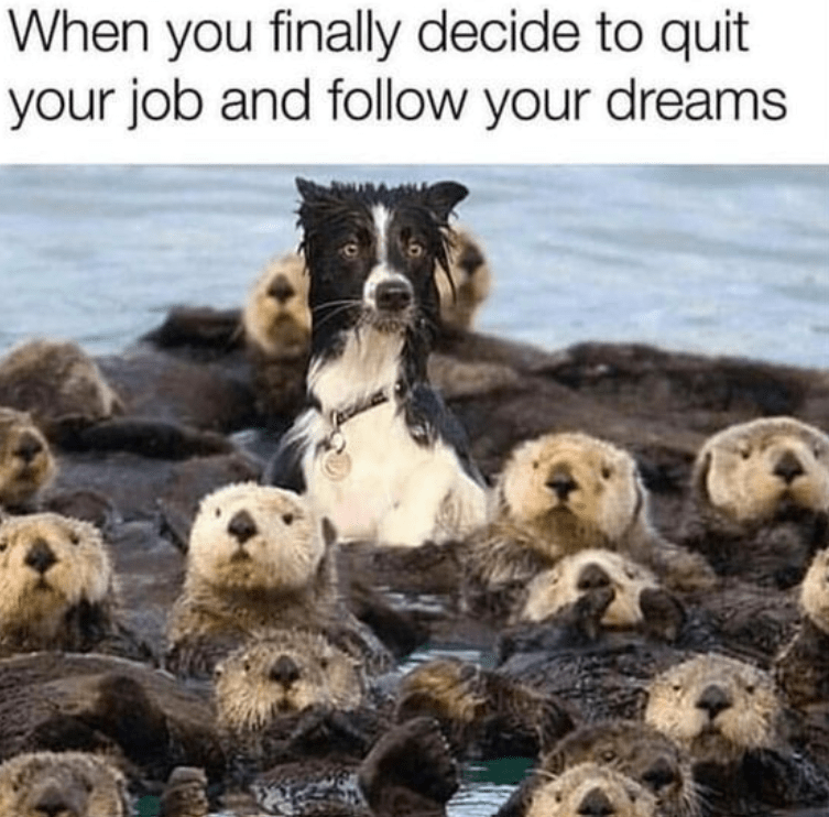finally-decide-quit-job-and-follow-dreams