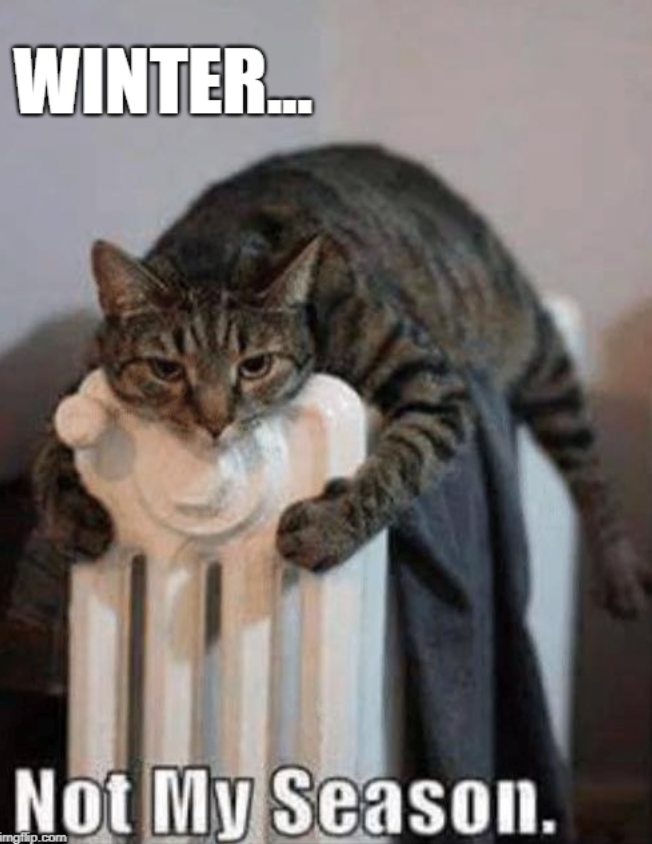 winter-not-my-season