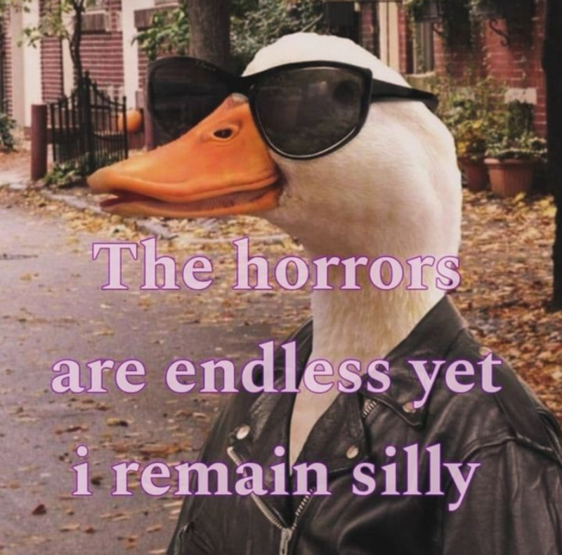 horrors-are-endless-yet-remain-silly