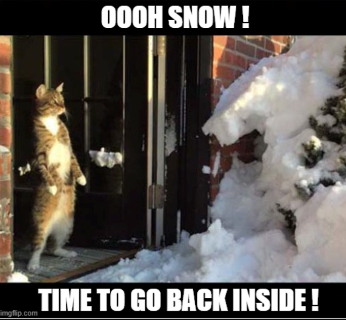 14-oooh-snow-time-go-back-inside-imgflipcom