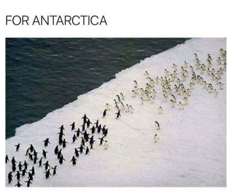 antarctica
