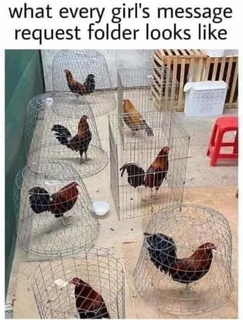 every-girls-message-request-folder-looks-like