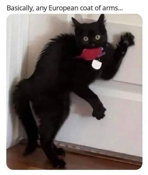 basically-any-european-coat-arms