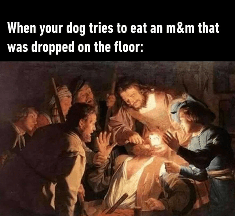 dog-tries-eat-an-mm-dropped-on-floor