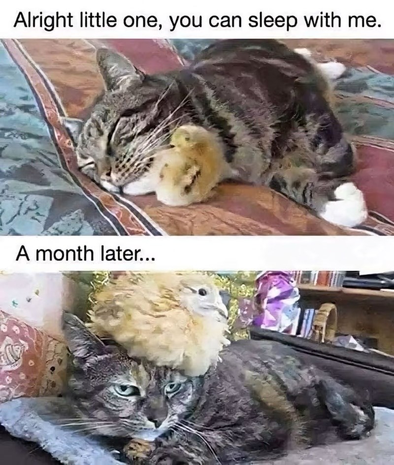 alright-little-one-can-sleep-with-month-later