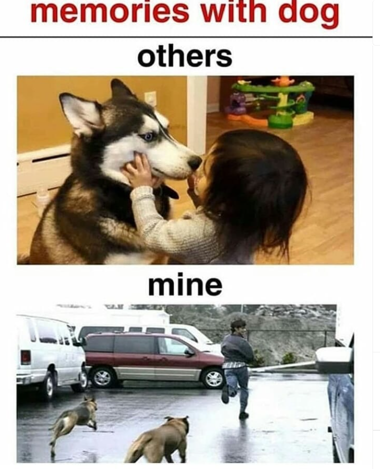 memories-with-dog-others-mine