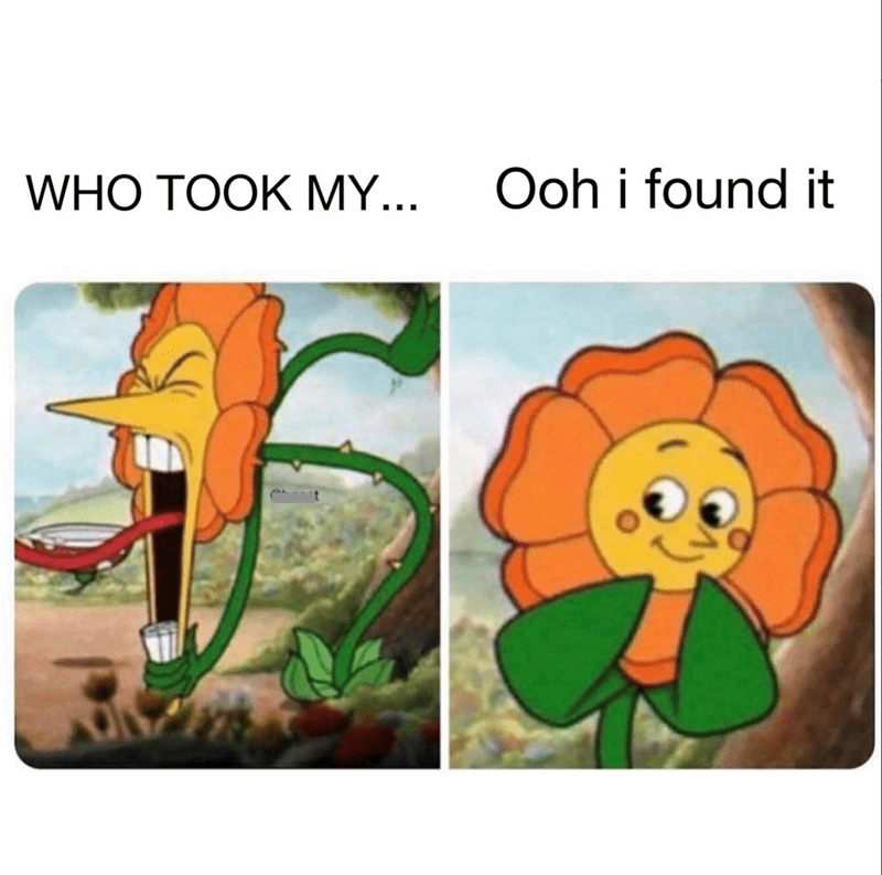who-took-my-ooh-found