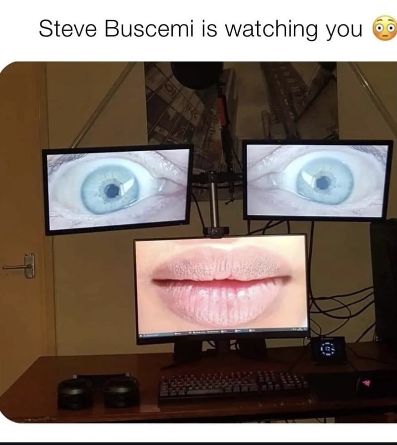 steve-buscemi-is-watching-ring-t